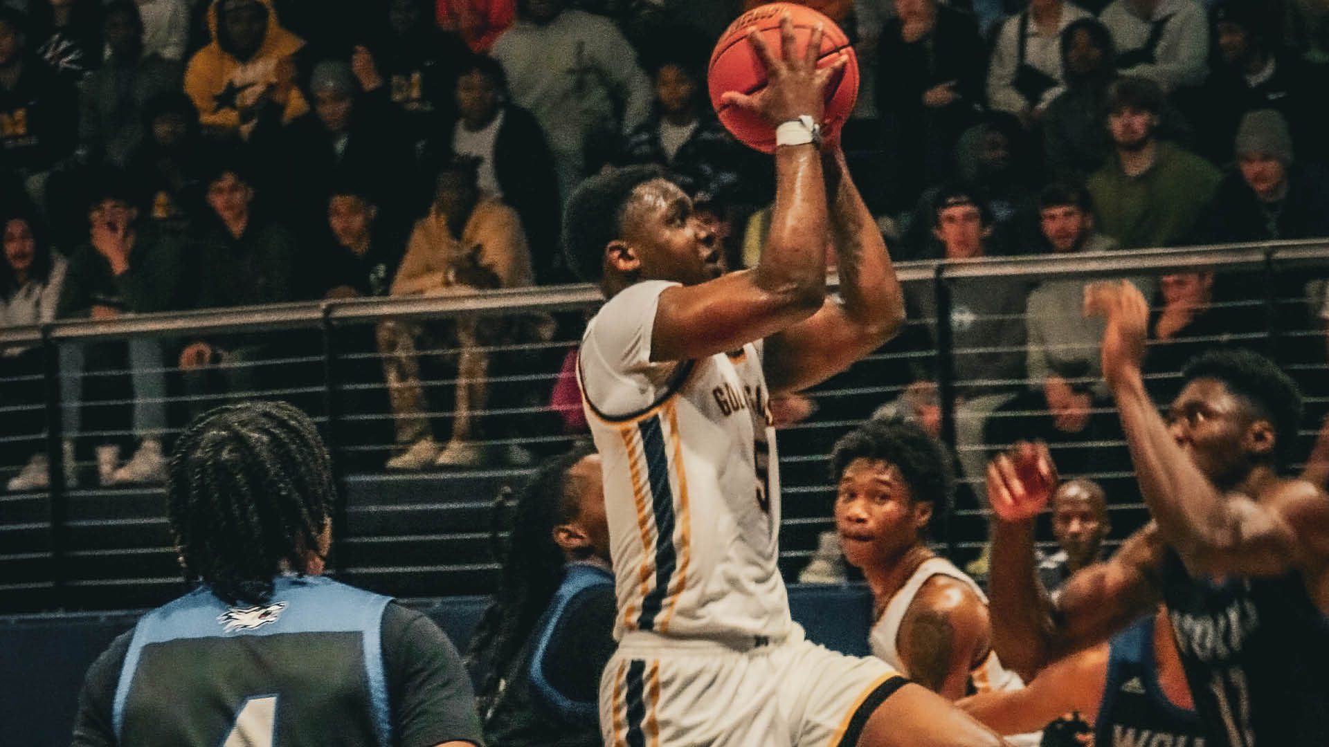 Bulldogs down Lions at Perk