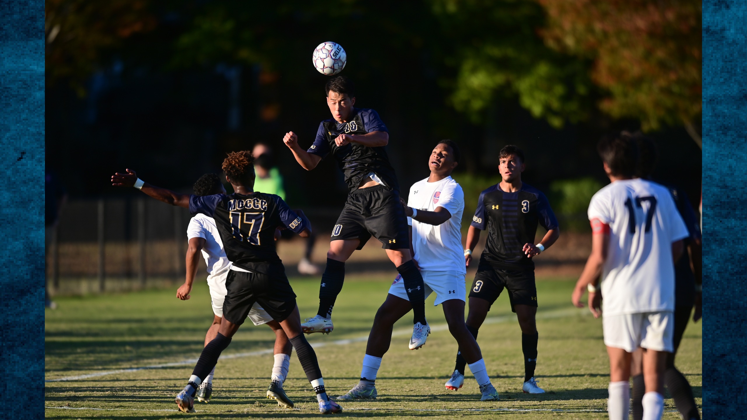 No. 15 Bulldogs headed to MACCC finals