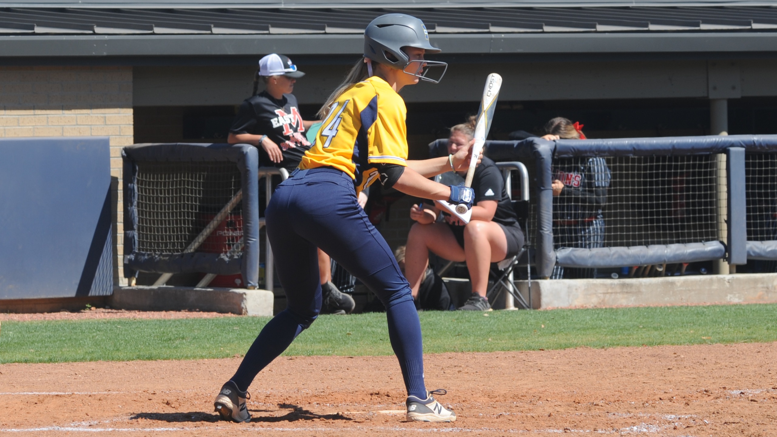Softball splits at Holmes