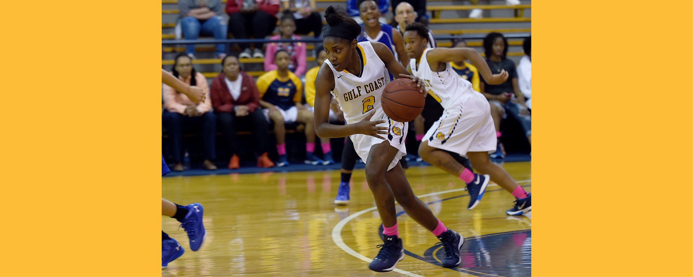 Lady Bulldogs fall to Co-Lin