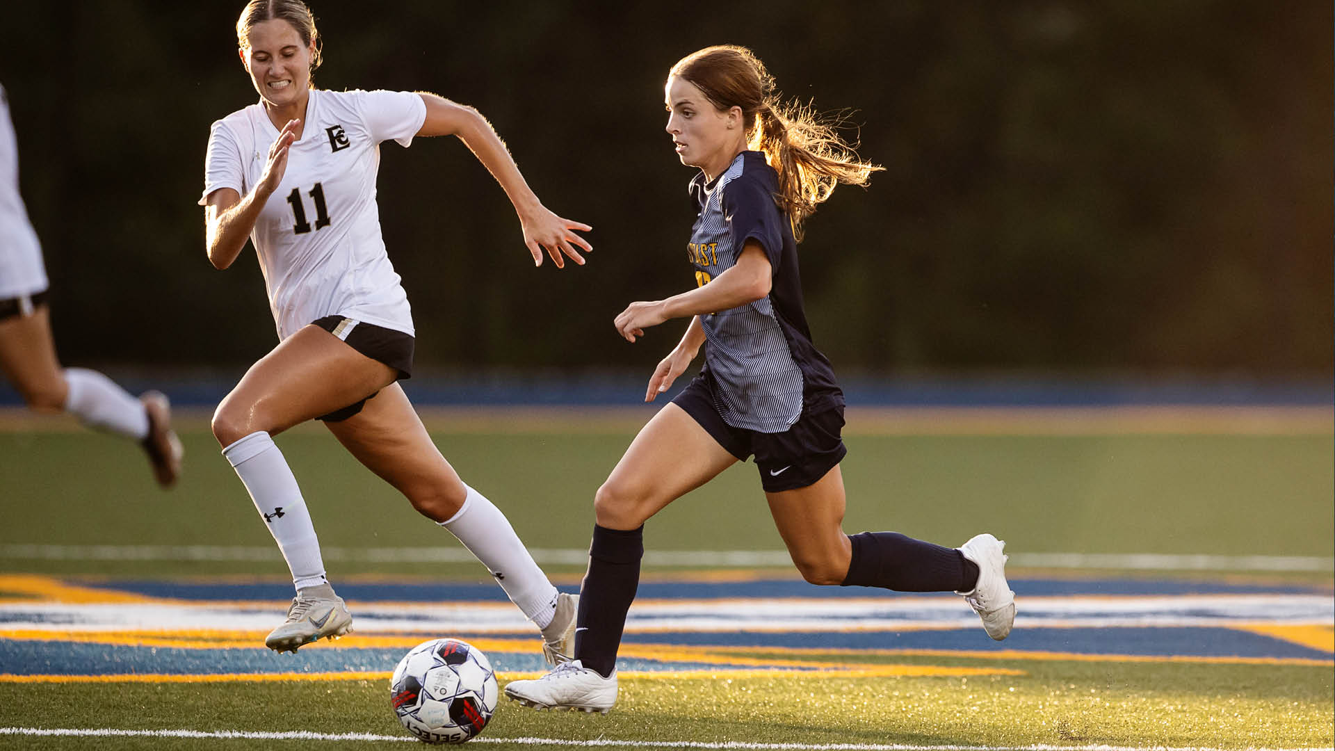 Johnson&rsquo;s 4-goal outburst paces Bulldogs