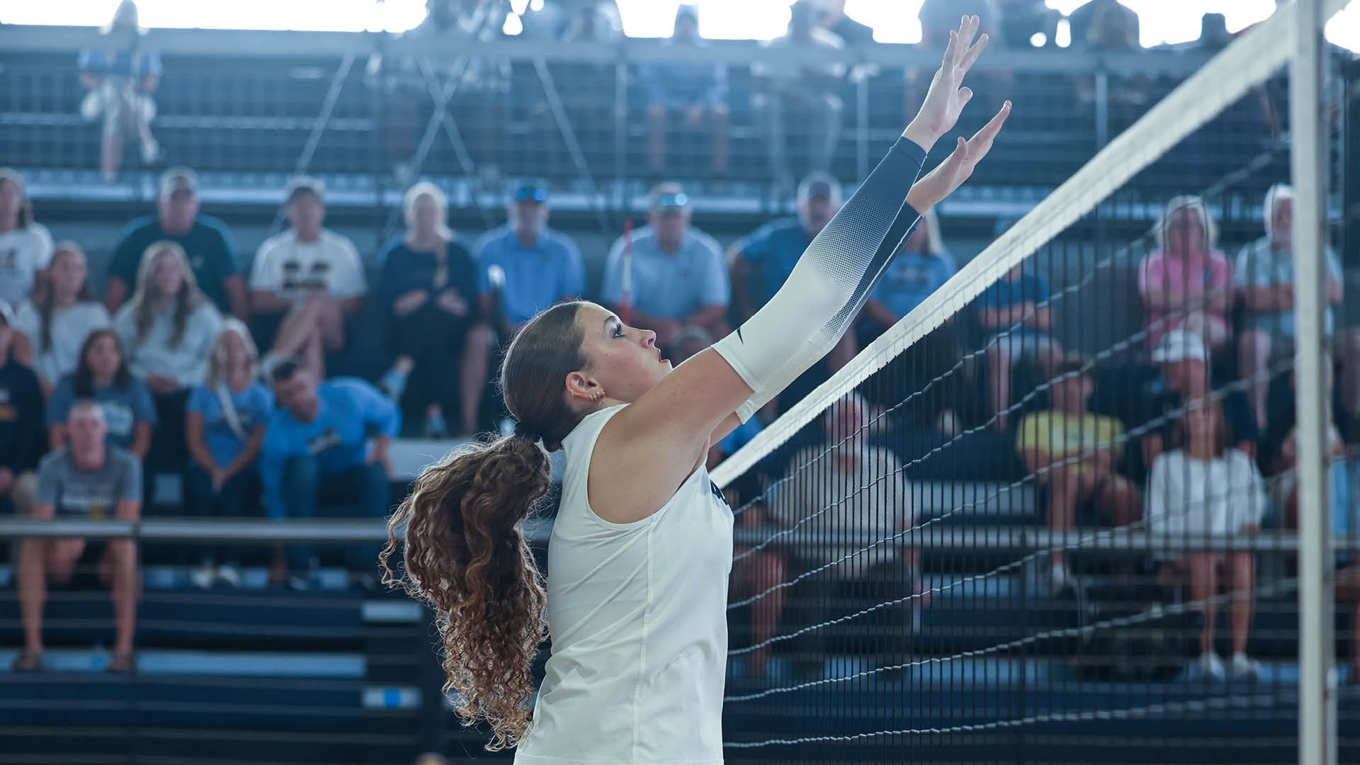 Bulldogs win title in Summit